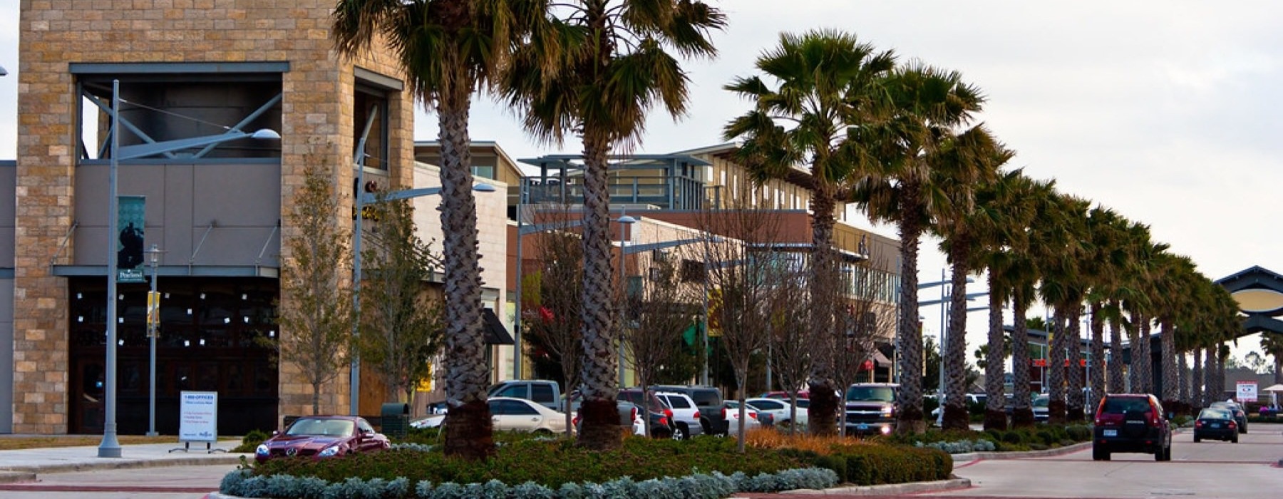 a plaza with palm trees and cars